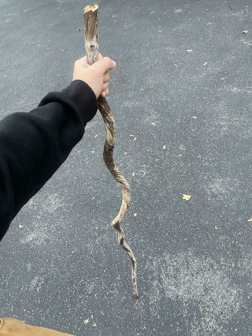 A person holding a twisted stick resembling a snake on a paved surface.