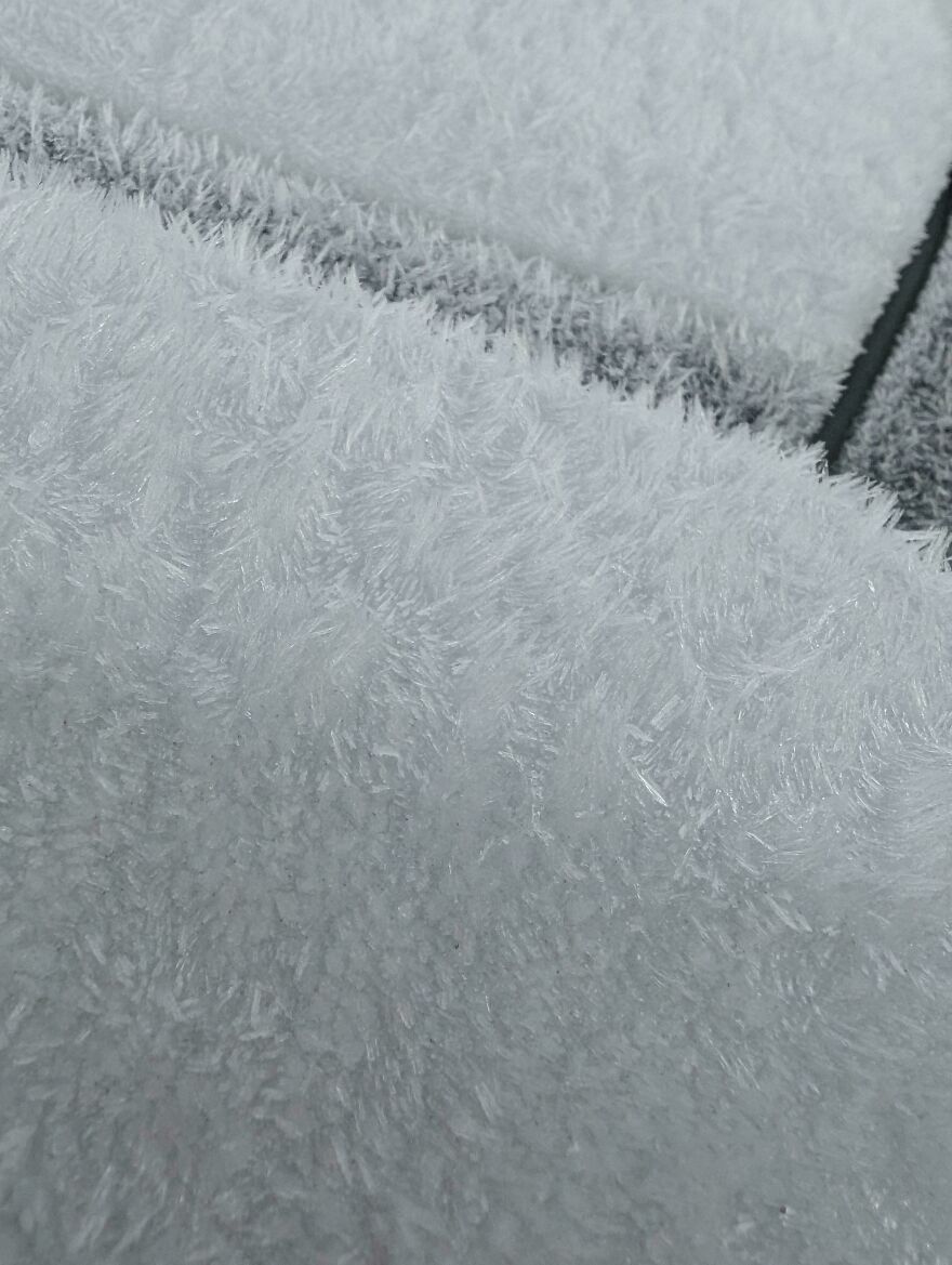 Close-up of a white carpet that looks like snow, highlighting things that look like other things.