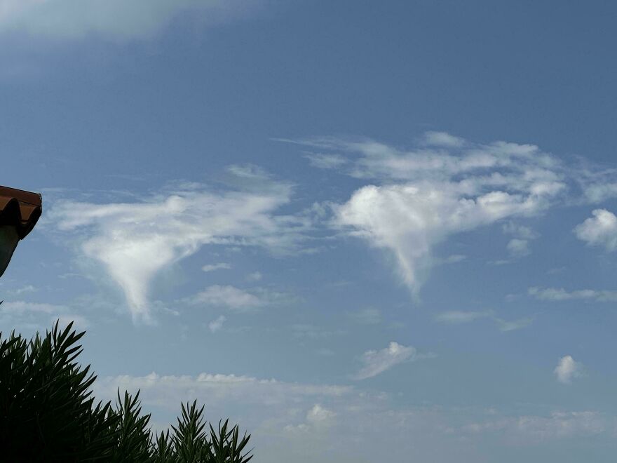 Clouds resembling tornadoes in a blue sky above greenery, illustrating things that look like other things.