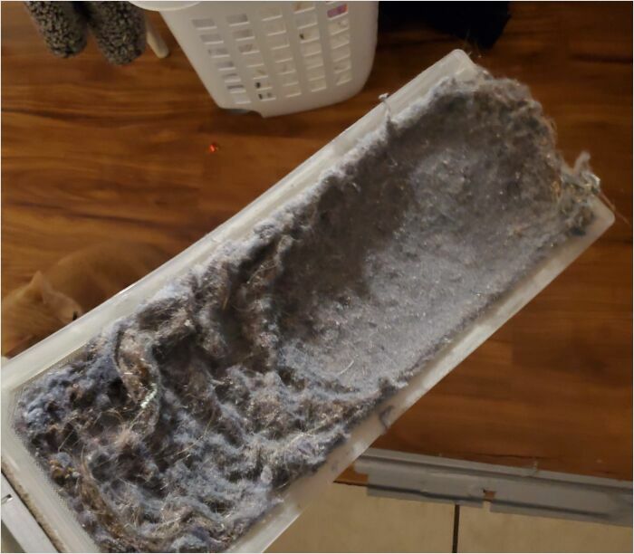 Lint trap overflowing with dust in poorly maintained room, a sign of horrible roommates.