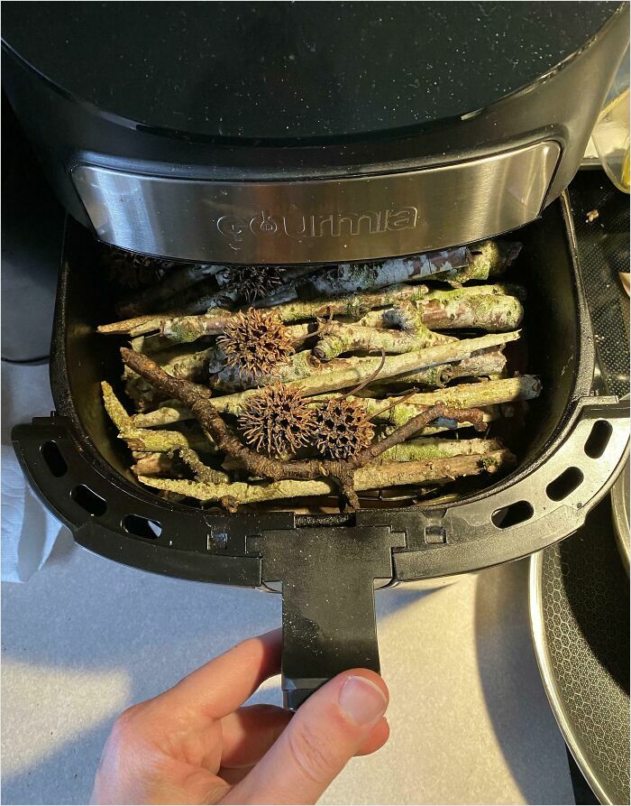 Air fryer filled with sticks and seed pods, highlighting horrible roommates' unusual cooking habits.