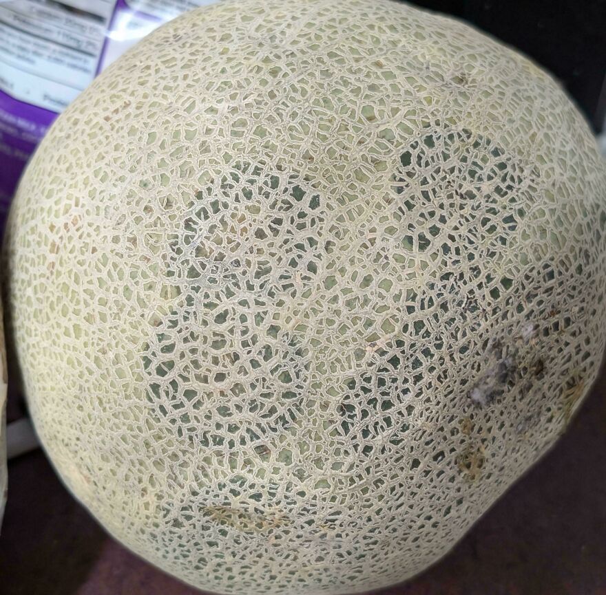 A rough, textured melon with a pattern resembling a geographic map, showing things that look like other things.