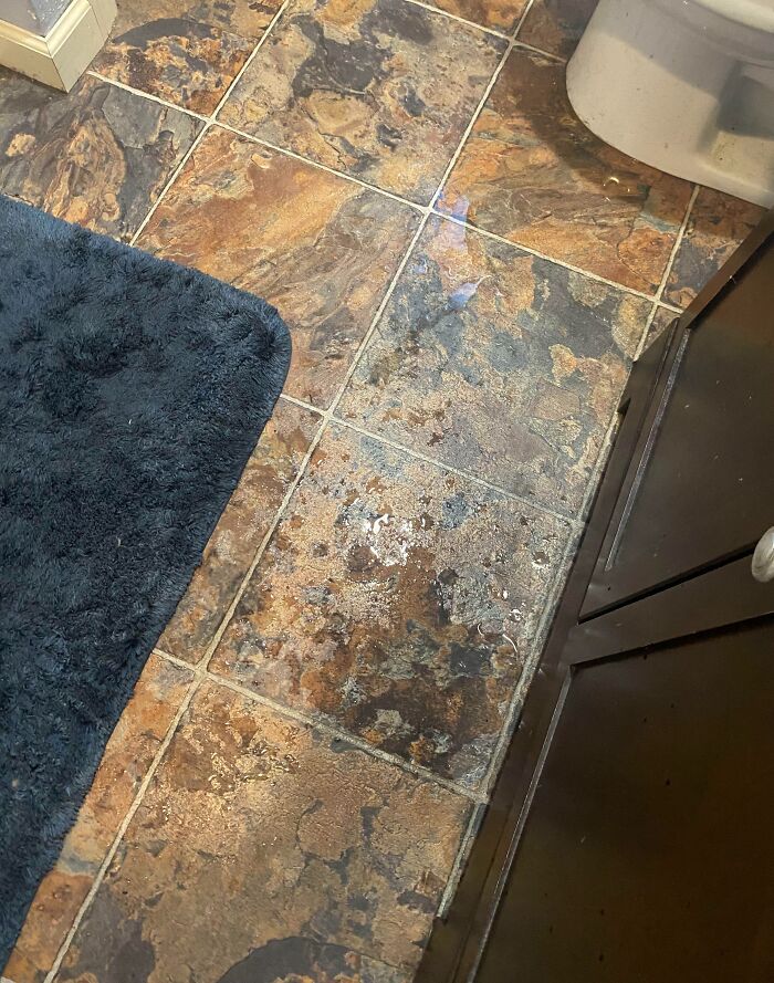 Wet bathroom floor with dark blue rug, illustrating issues with cleanliness and horrible roommates.