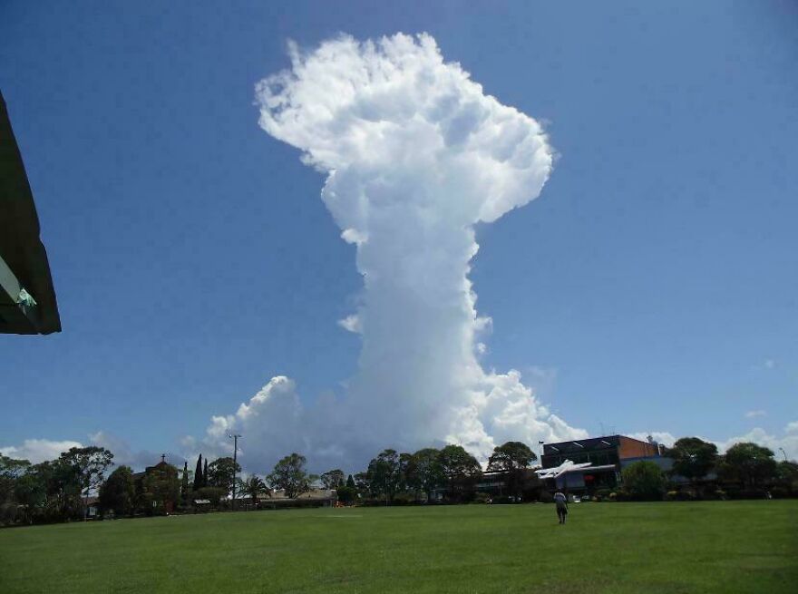 Cloud formation that looks like a giant mushroom, towering over a park with clear blue sky.