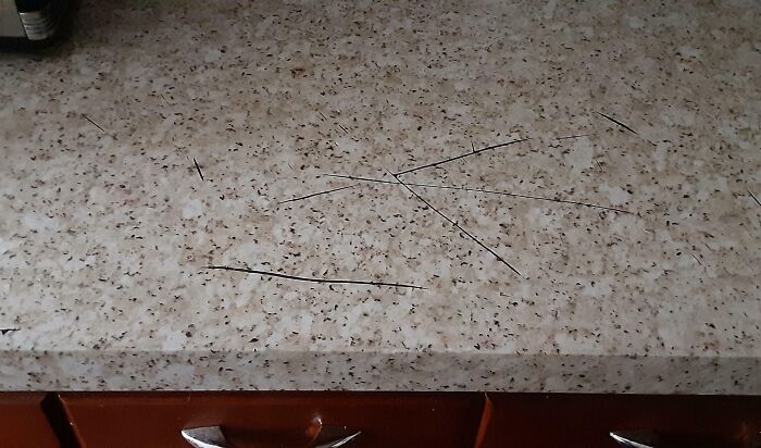 Scratches on a kitchen countertop, possibly caused by horrible roommates.