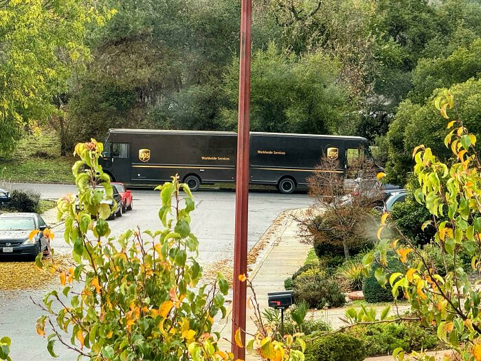 UPS truck appears elongated due to confusing perspective in a lush neighborhood setting.