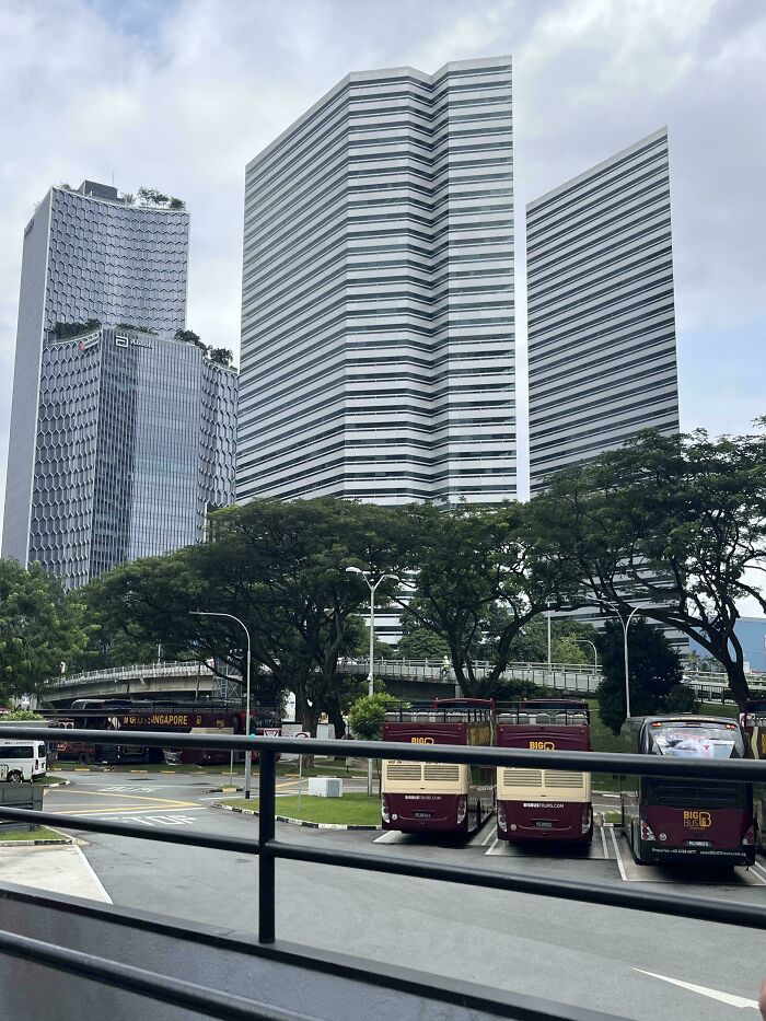 Confusing perspective of buildings with trees and buses in foreground, creating an optical illusion.