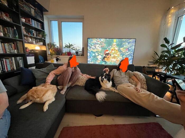 Confusing perspective of two people and dogs on a couch, with TV showing a Christmas scene in a cozy living room.