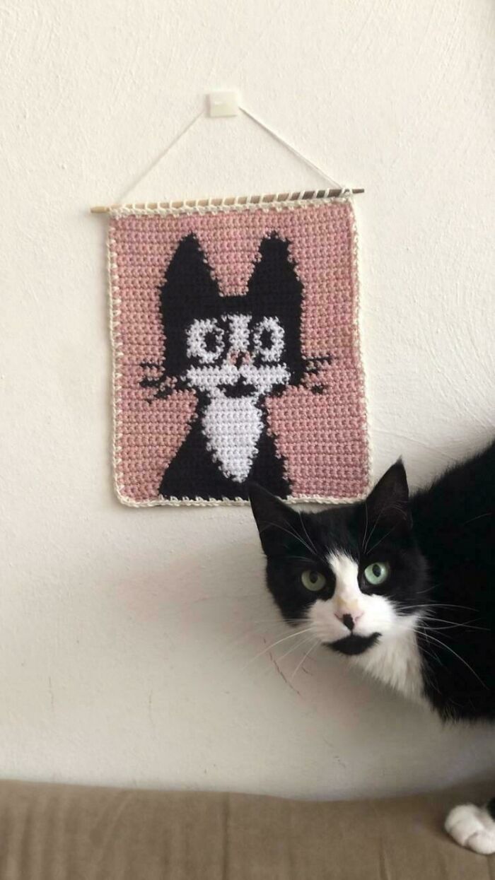 A crocheted cat wall hanging with a matching real black and white cat underneath.