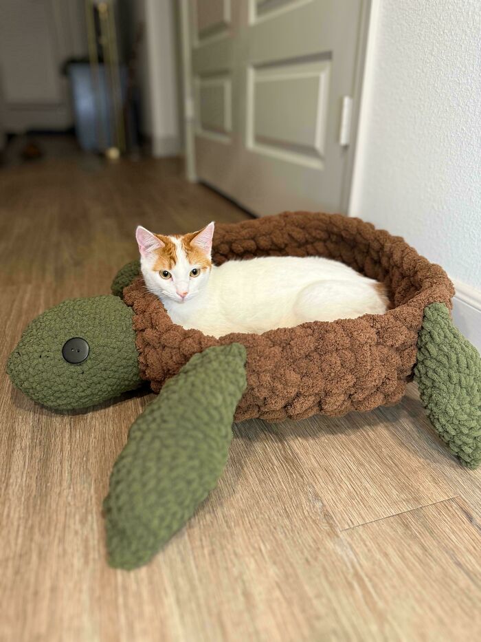 Cat resting in a crocheted turtle bed, showcasing creative crocheted items.