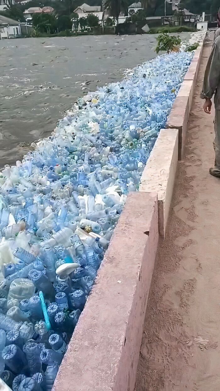 Plastic bottles piled along a riverside barrier, highlighting the impact of capitalism on the environment.