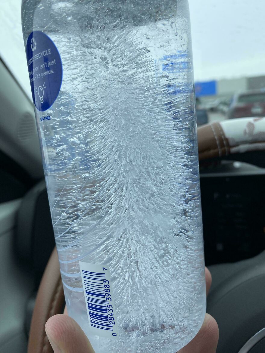 Frozen water bottle with ice formations resembling a tree, illustrating how things can look like other things.