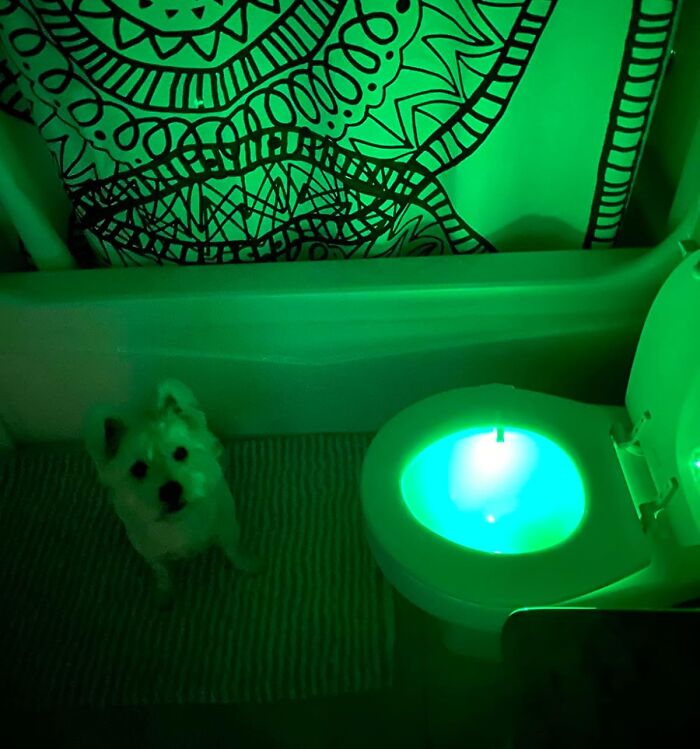 Glowing novelty toilet light in a dark bathroom with a pattern curtain, adding a fun touch to the routine.