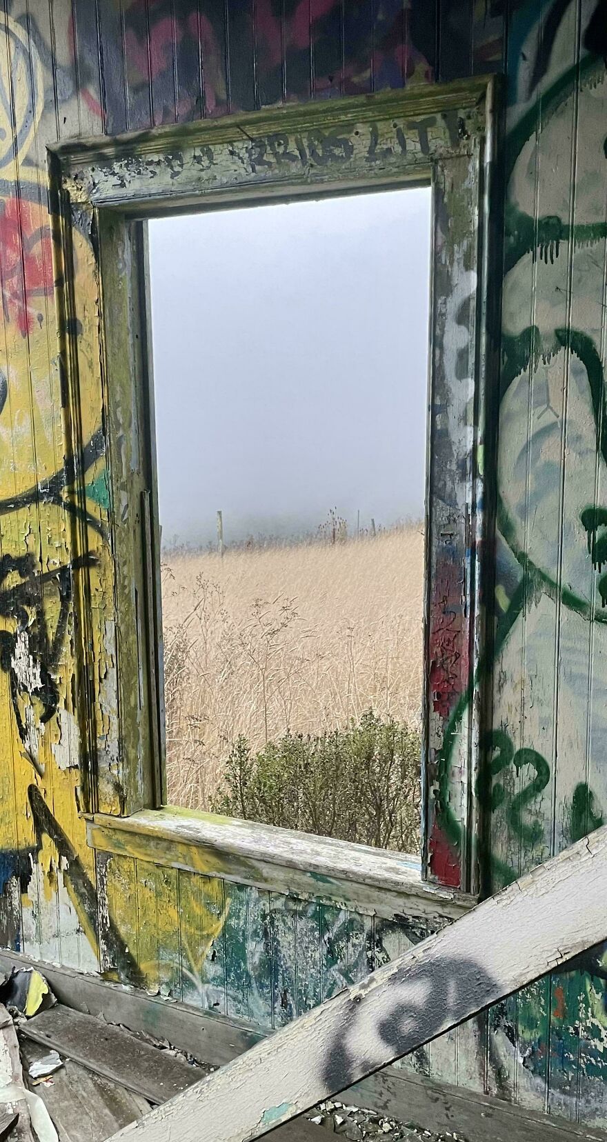 Graffiti-covered wall with a window overlooking a foggy field, an example of accidental art.