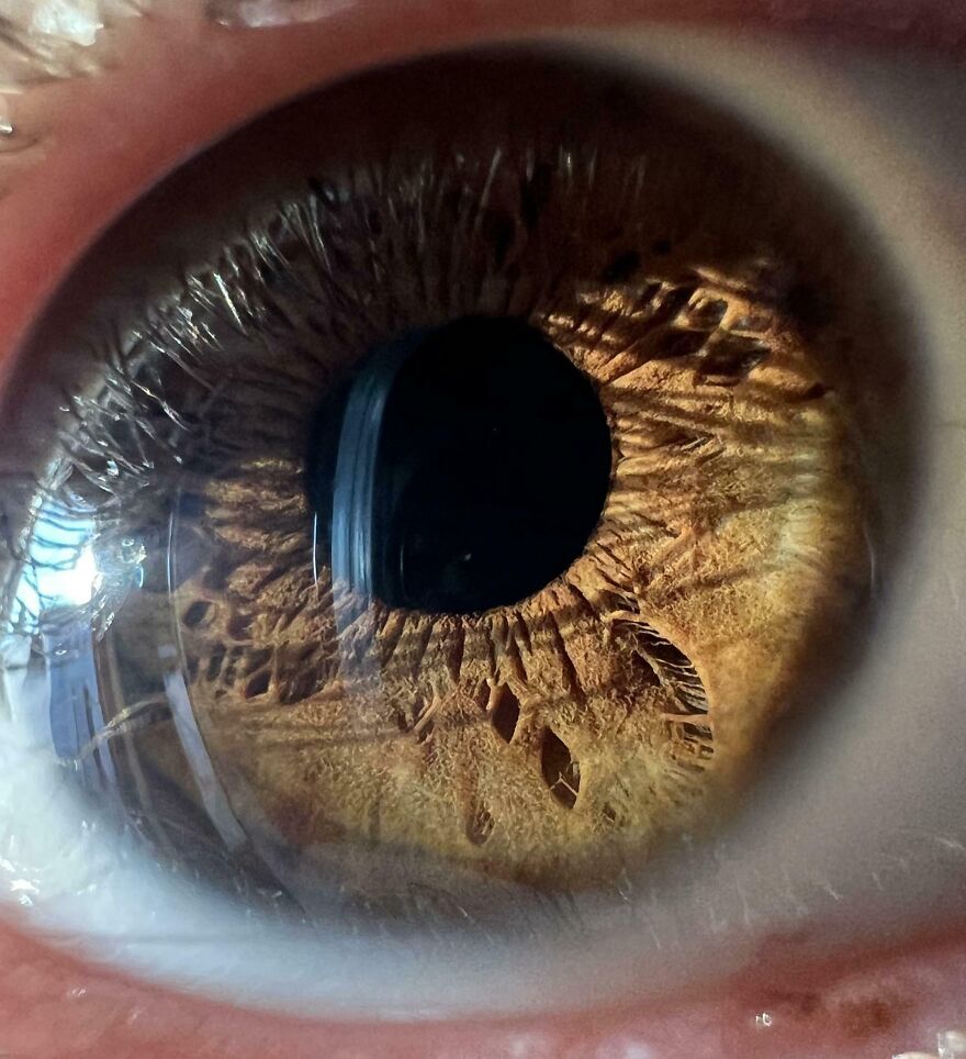 Close-up of a human eye resembling a textured landscape, highlighting the concept of things looking like other things.