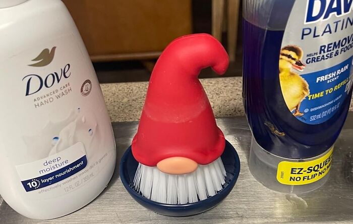 Weird kitchen item: a cleaning brush with a red gnome hat between Dove hand wash and Dawn dish soap.