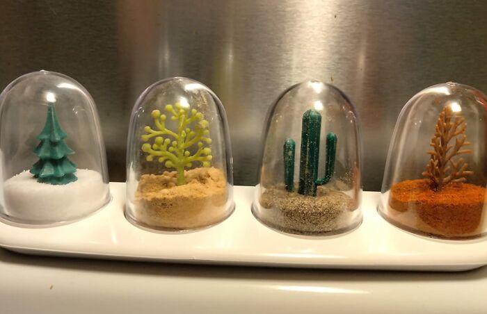 Weird kitchen spice containers shaped like mini terrariums on a white tray.