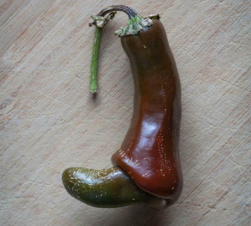 Pepper shaped like a duck, highlighting things that look like other things.