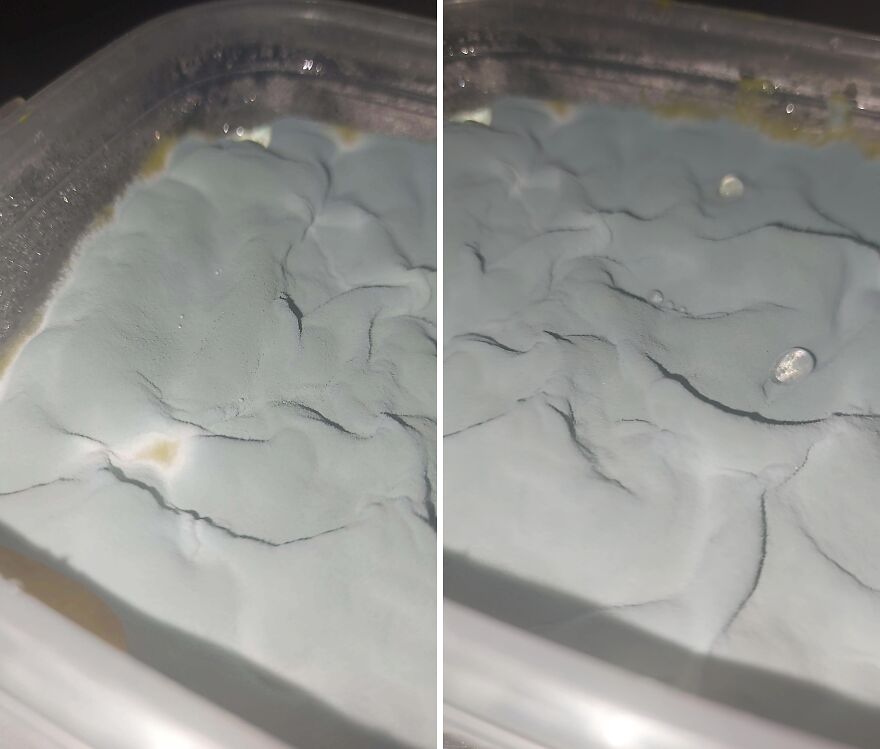 Smooth surface resembling a lunar landscape, but it's actually mold in a container.