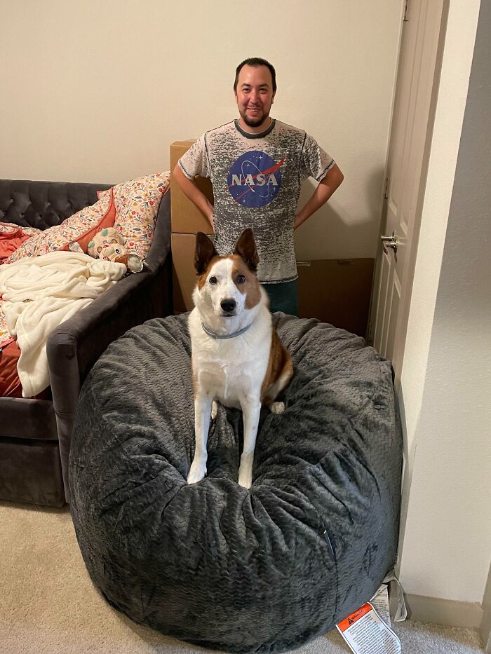 Dog lounging on a large bean bag, person standing behind, embodying spoiled pets in a cozy room setting.