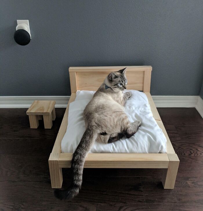 A spoiled pet cat lounging on a miniature wooden bed with a pillow, next to a small table.