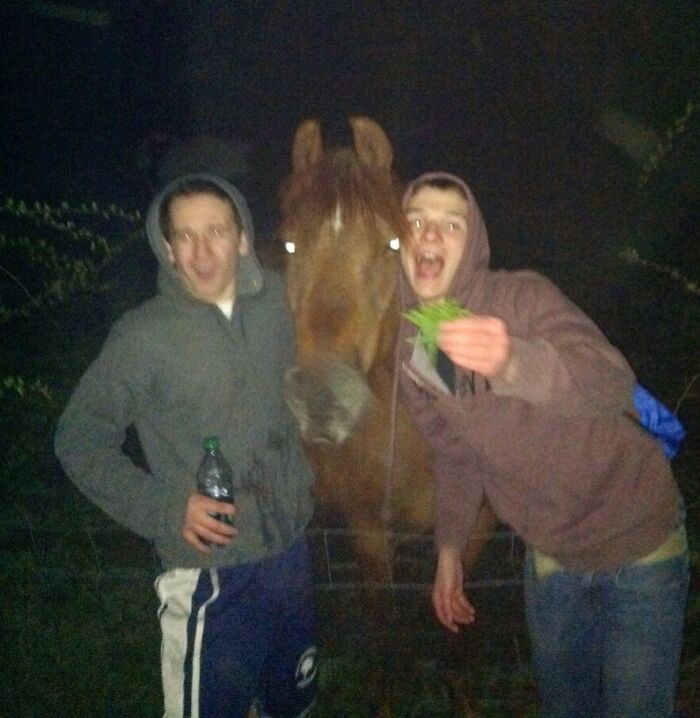 Two people joyfully posing with a horse at night, capturing a funny moment for camera roll finds.