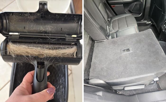 Pet hair removal tool and clean car seat using Less-Mess-2025 method.