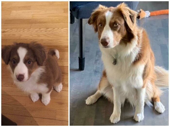 3 Months To 3 1/2 Years Old