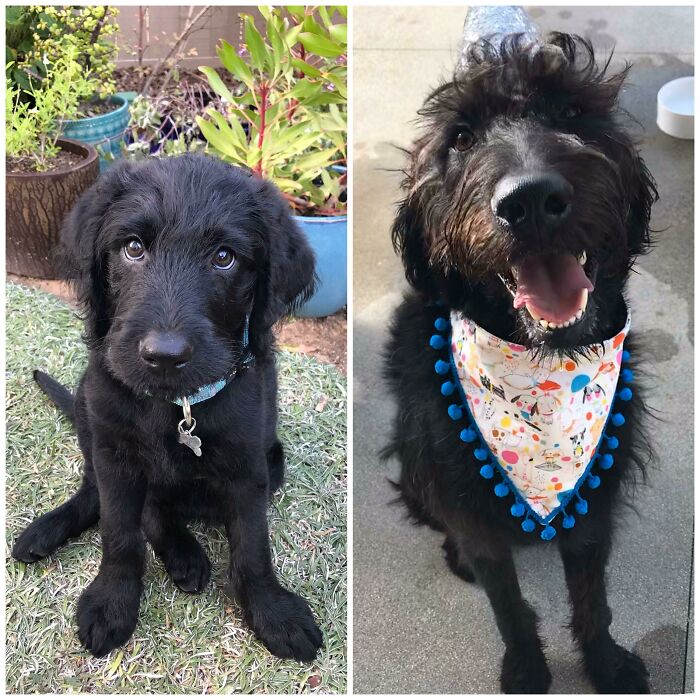 My Chunky Munkey From 8 Weeks To 1 Year