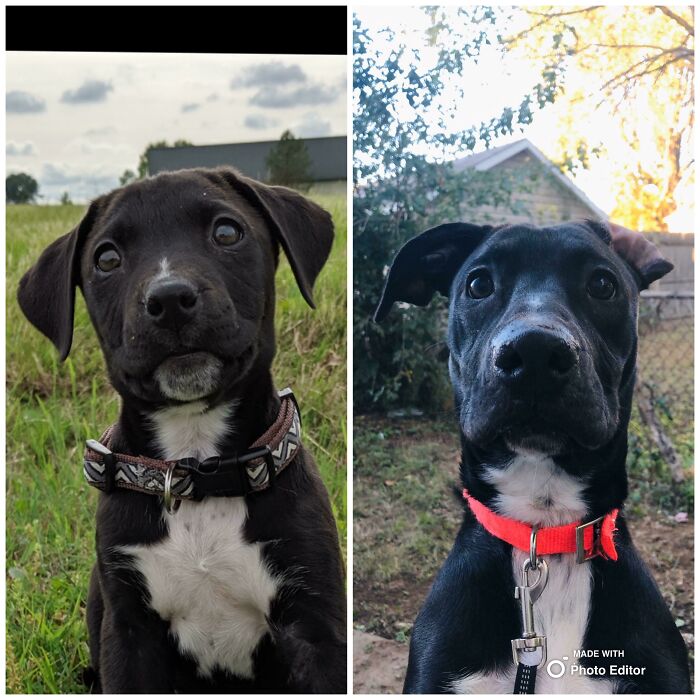 3 Months To 9 Months. Still A Dork