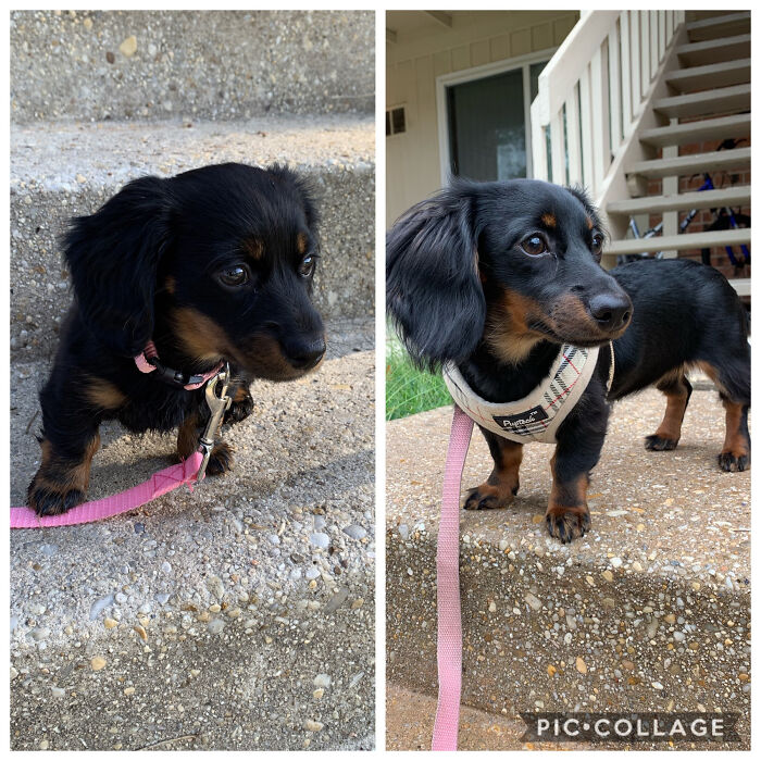 2 Months To 6 Months