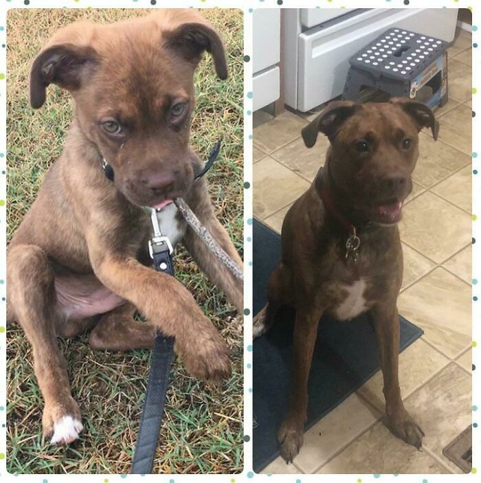 12 Weeks To 2 And A Half Years