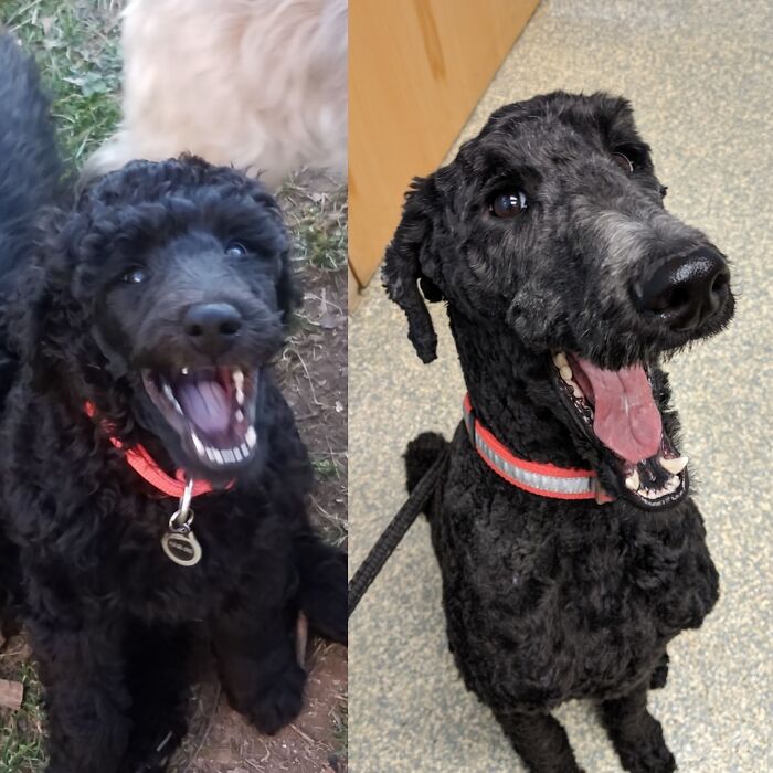 8 Weeks To 2 Years; Not Much Has Changed