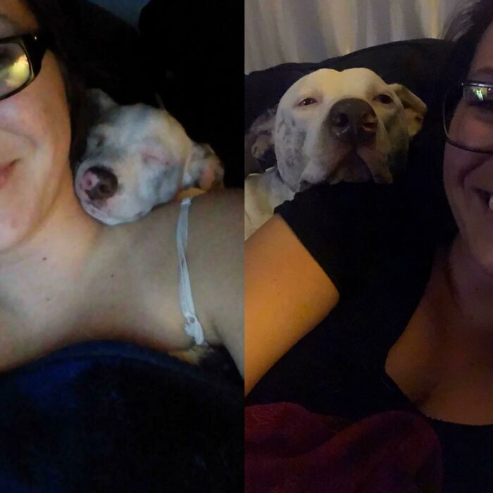 Same Snug, Four Year Difference