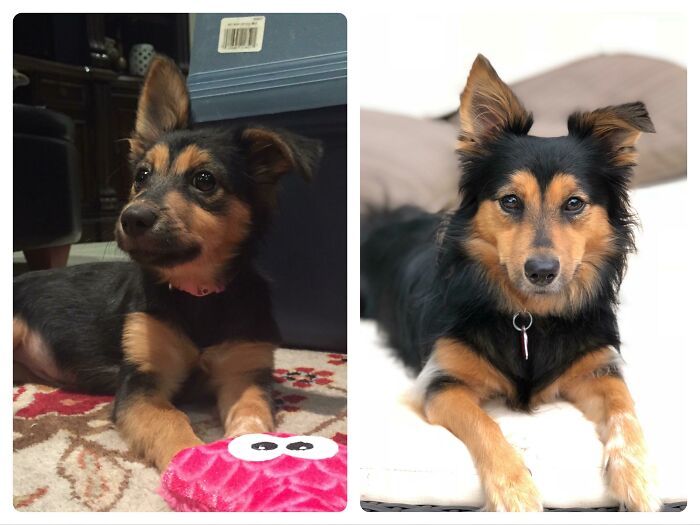 Justice: 6 Months To 2 Years