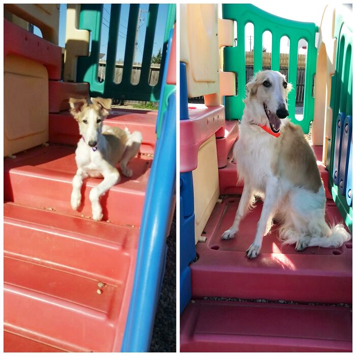 From 3 Months Old To 3 Years Old!