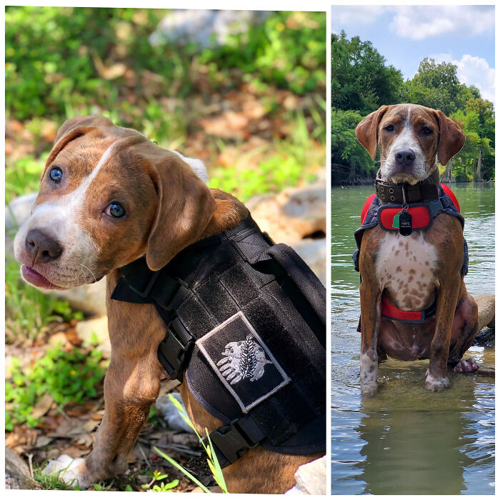 Calhoun, 6 Weeks To 6 Months