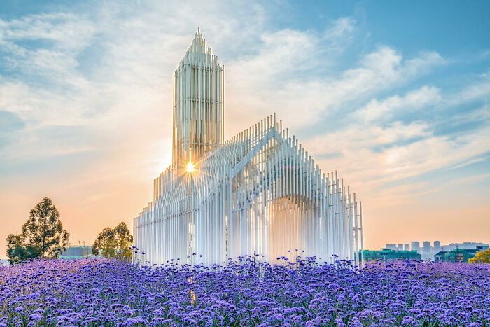 A modern church structure with the sun shining through, surrounded by a field of purple flowers under a clear sky.