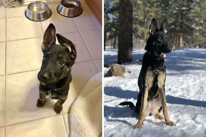 She Grew Up So Fast...9 Weeks To 10 Months