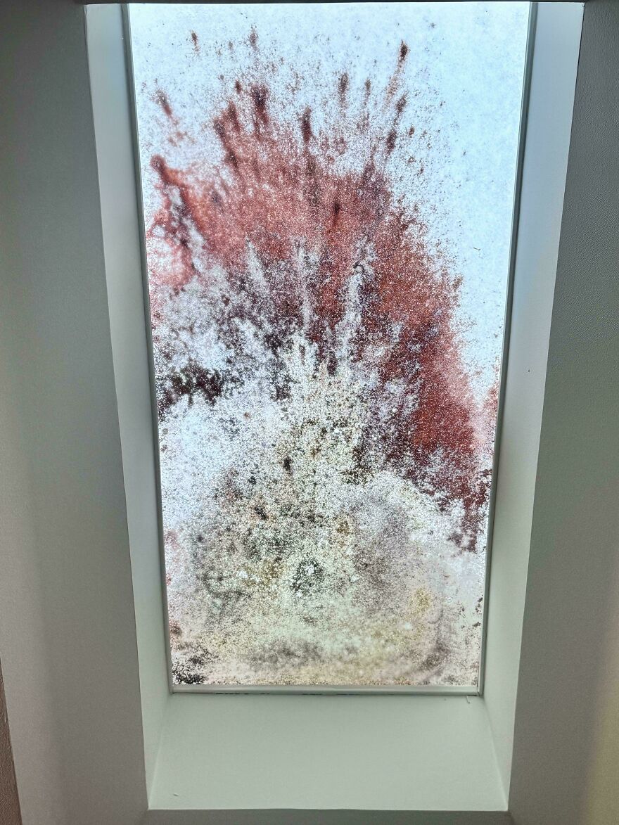 Sky Light At My Wife’s Dr Office. I Guess It’s Mold Or Something But Looks Like Art To Me