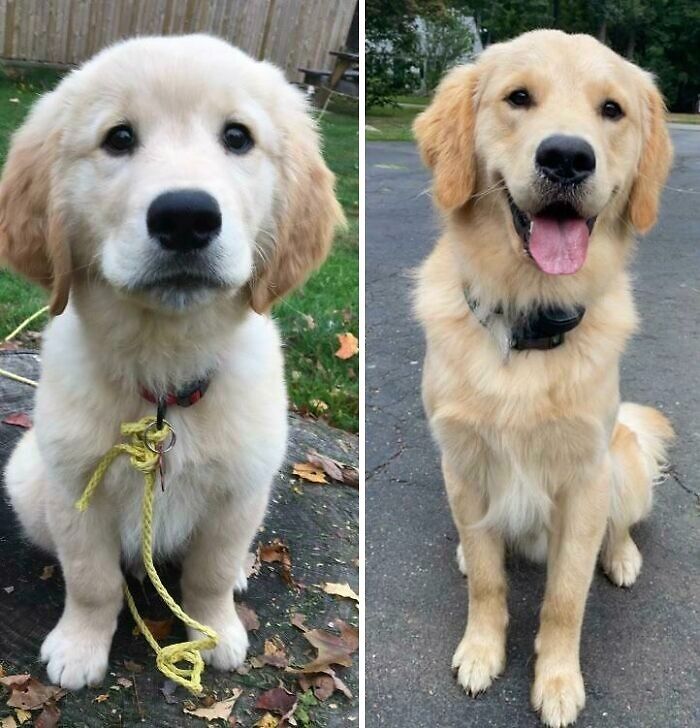 A Year Later And Carsen Has Learned To Smile!