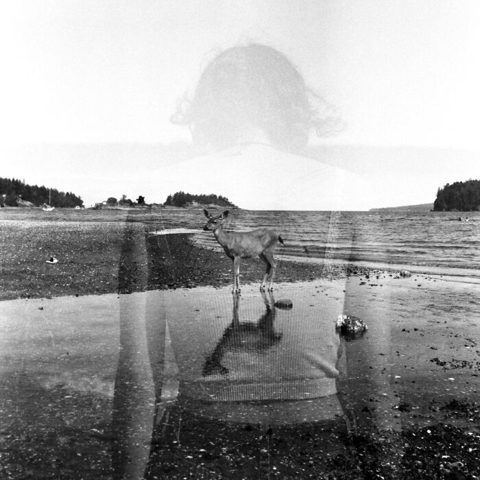 A deer standing on a beach with a ghostly overlay of a person, capturing a surreal moment in incredible world photos.