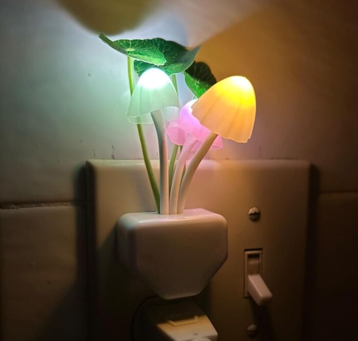 Mushroom-shaped night light plugged into a wall, providing cozy ambiance for relaxing indoors.