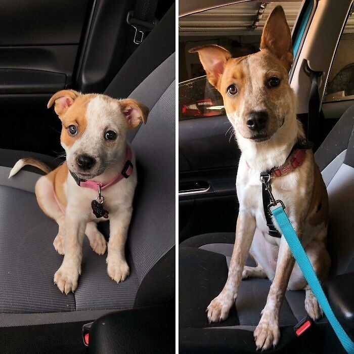 8 Weeks To 8 Months