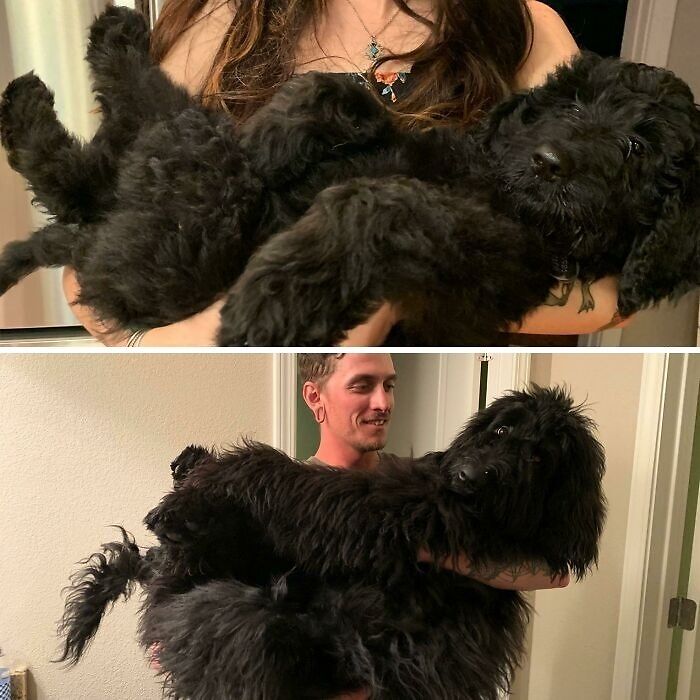 13 Weeks To 7 Months! Mom Can’t Hold Him Like That Anymore!