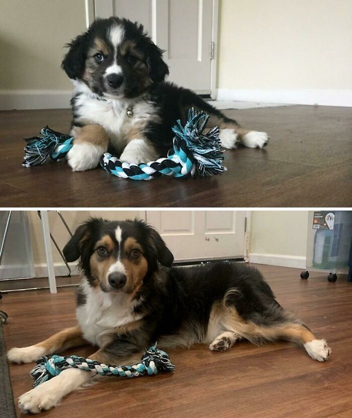 2 Months vs. 26 Months