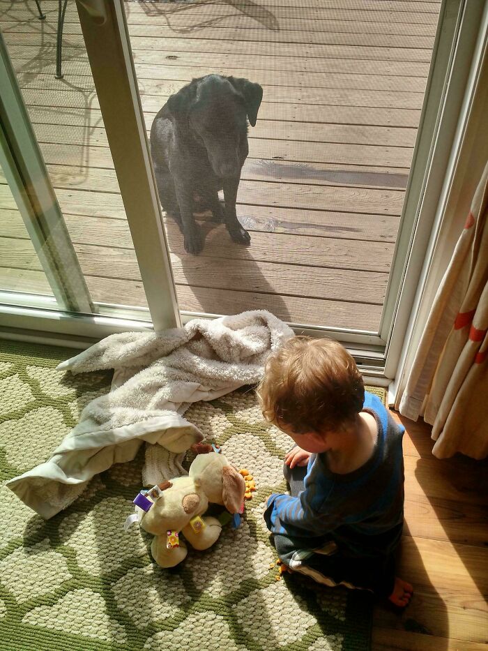 A child playing with toys indoors while a dog watches through the glass door. Hilarious-kids scene.