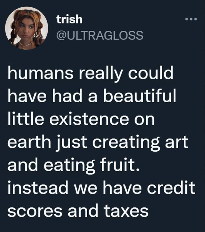 Funny post about life's irony, contrasting a simple existence creating art with modern credit scores and taxes.