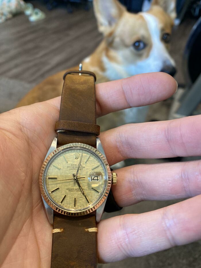 Hand holding a vintage 80s watch with a brown leather strap, while a dog looks on in the background.