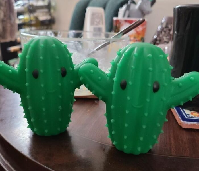 Two green cactus-shaped toys on a wooden table suggest a fun, responsible start to the New Year.